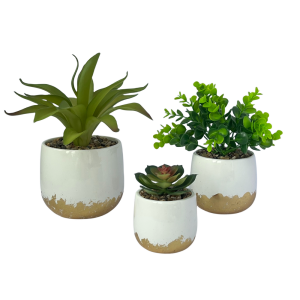 Gold And White Succulent Pot-XDR24029