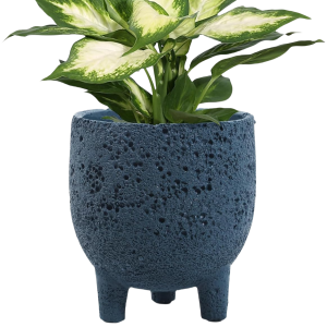 Blue Plant Pot-XPC24001