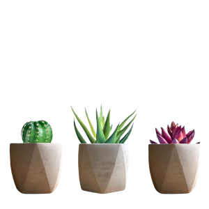 Gray Cement Plant Pot-XPJ24001