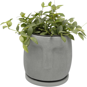 Gray Face Plant Pot-XPF24001L