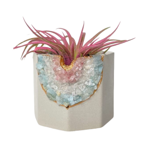 Gray Plant Pot-XPX24010