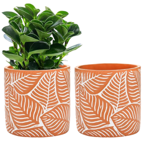 Simple Plant Pot-XPW24011