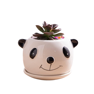 Panda Plant Pot-XPAP24011