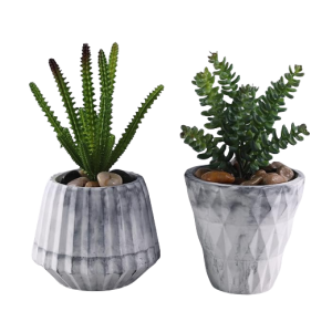 Simple Plant Pot-XPW24012