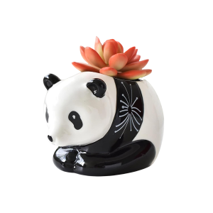 Panda Plant Pot-XPAP24014