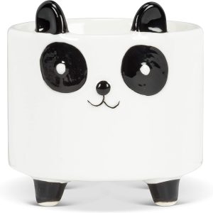 Panda Plant Pot-XPAP24015