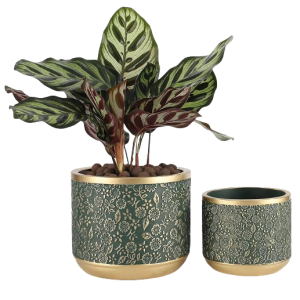 Simple Plant Pot-XPW24016