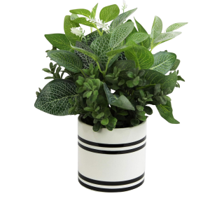Green Plant Flower Pot-XDRP24017