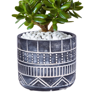 Gray Plant Pot-XPW24018
