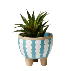 Green Plant Flower Pot-XDRP24022