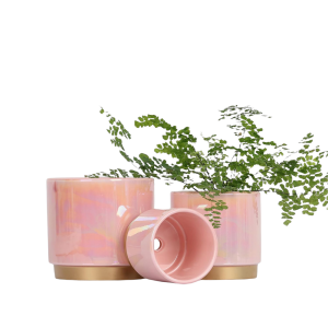 Green Plant Flower Pot-XDRP24023