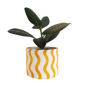 Green Plant Flower Pot-XDRP24029
