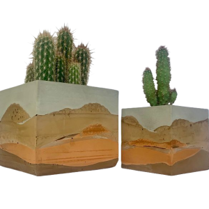 Cement Plant Pot-XPC24003