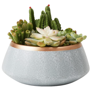 Gray Cement Plant Pot-XPJ24003