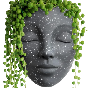 Gray Face Plant Pot-XPF24003