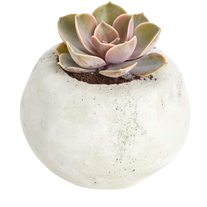 White Round Plant Pot-XPX24003