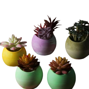 Cement Plant Pot-XPC24005