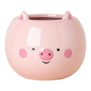 Pig Plant Pot-XPAP24006