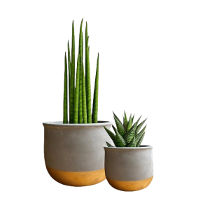 Gray Cement Plant Pot-XPJ24007