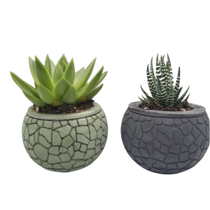 Simple Plant Pot-XPW24008