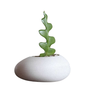 White Plant Pot-XPX24008